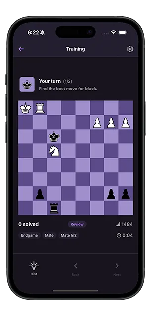 Automatic puzzle review system